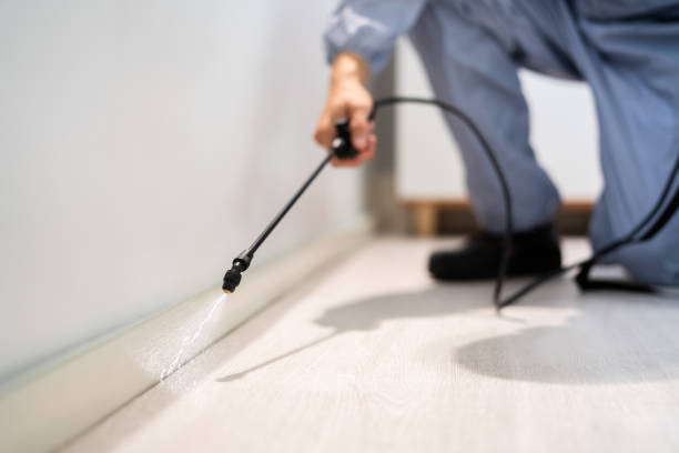 Bed Bug Pre-Treatment Preparation Assessment in Sabetha