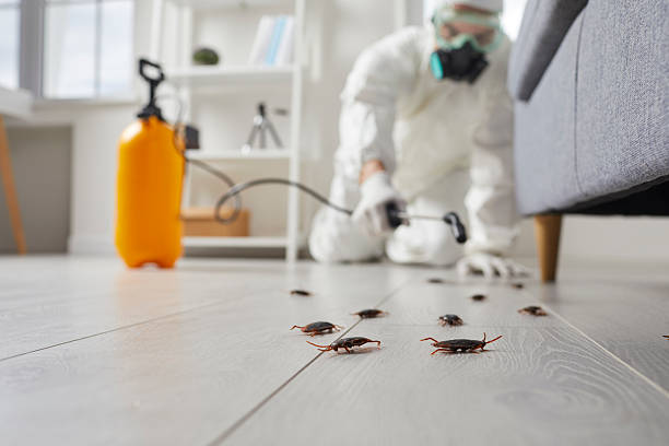 Post-Treatment Bed Bug Interceptor Monitoring in Sabetha