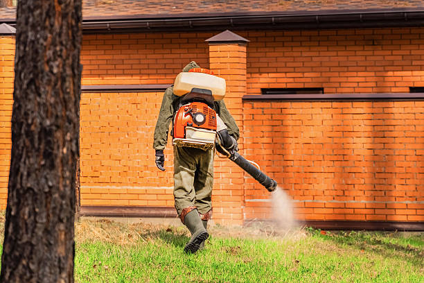 Bed Bug Clearance Verification and Documentation in Sabetha